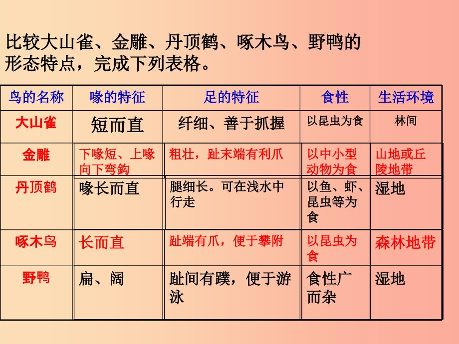 八年级生物上册第五单元第一章第六节鸟课件1 新人教版_第4页