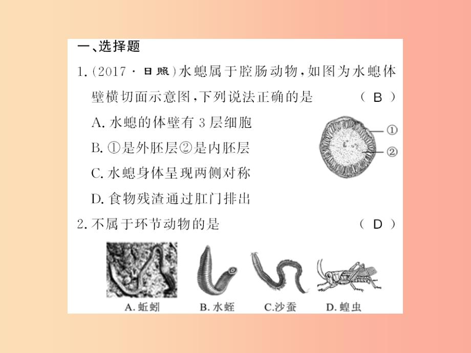 2019年八年级生物上册第六单元生物的多样性及其保护读图识图题习题课件 新人教版_第2页