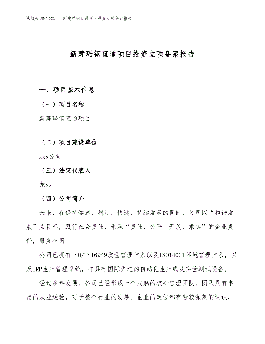 新建玛钢直通项目投资立项备案报告(项目立项).docx_第1页