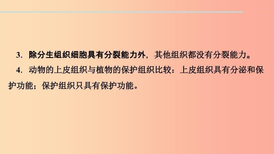 七年级生物上册 第二单元 第二章 第三节 植物体的结构层次习题课件新人教版_第5页