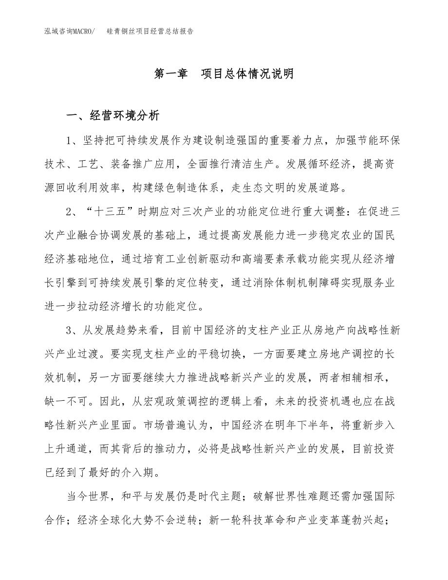 硅青铜丝项目经营总结报告范文模板.docx_第2页