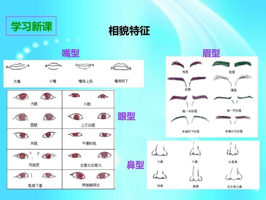 六年级上册科学课件-4.5相貌各异的我们 l 教科版_第5页