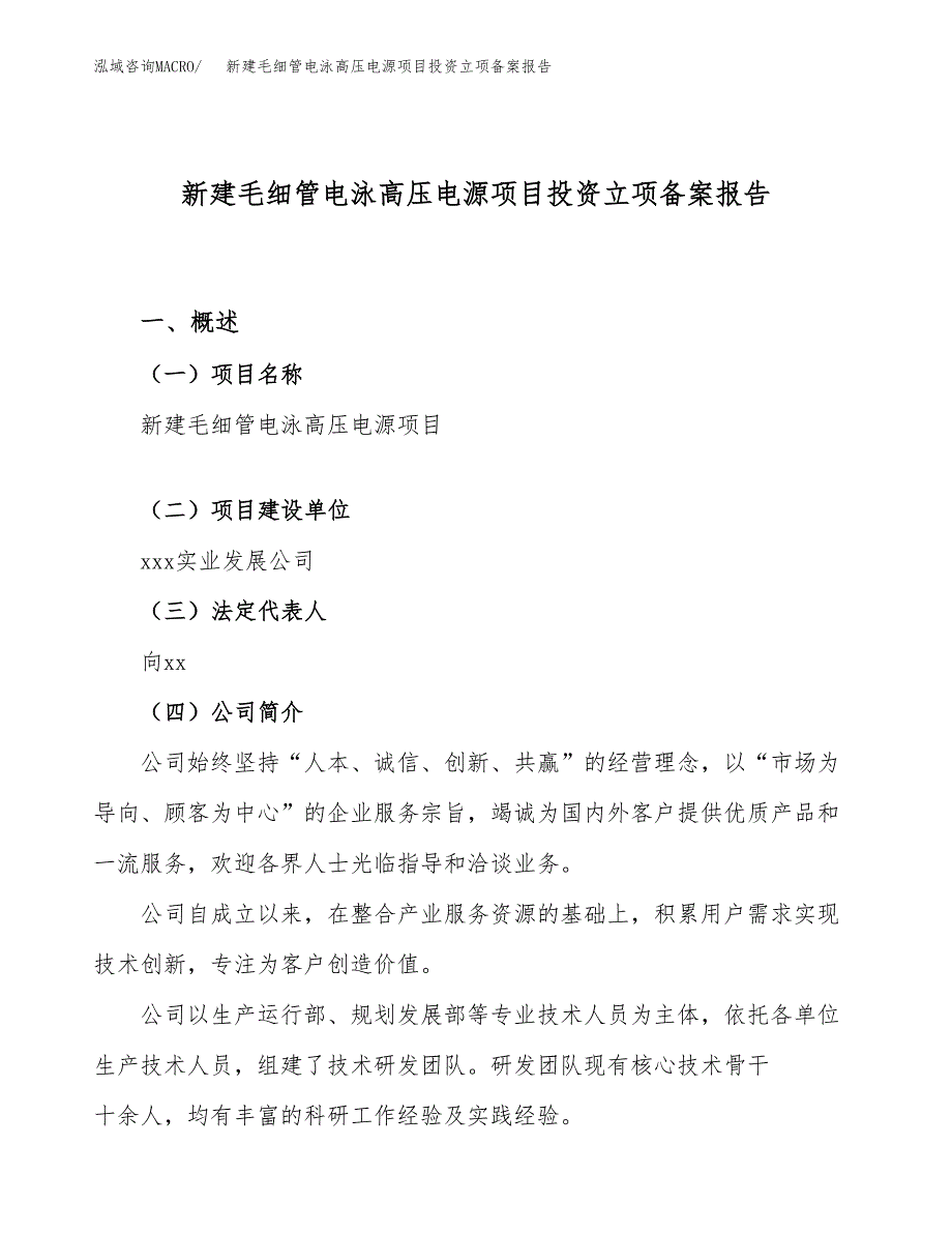 新建毛细管电泳高压电源项目投资立项备案报告(项目立项).docx_第1页