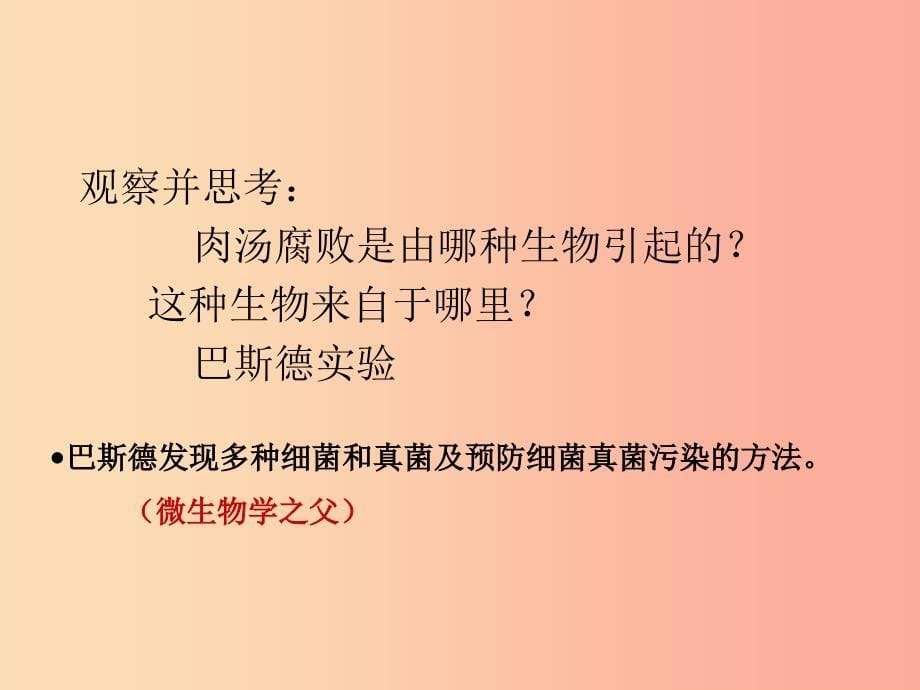 吉林省八年级生物上册 5.4.2 细菌课件新人教版_第5页