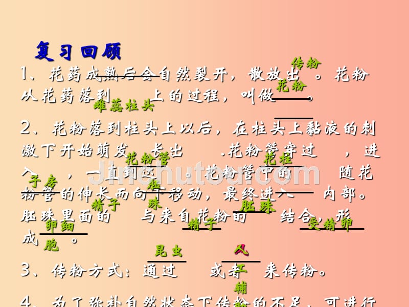 2019年七年级生物上册3.3绿色植物与生物圈的水循环课件2 新人教版_第2页