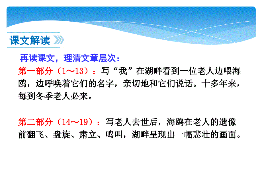 六年级上册语文课件 － 21老人与海鸥（人教新课标）_第4页