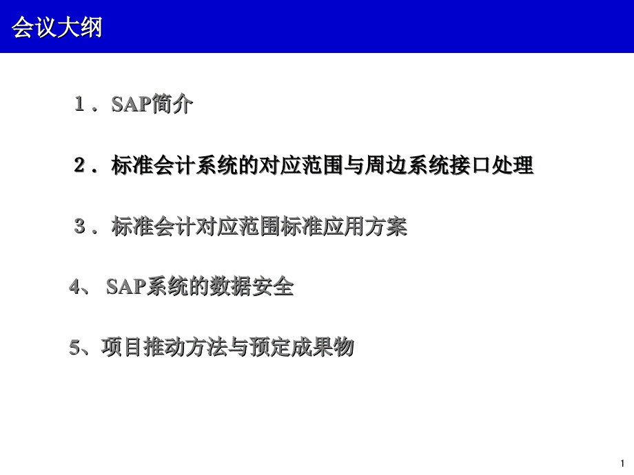 SAP介绍_第1页