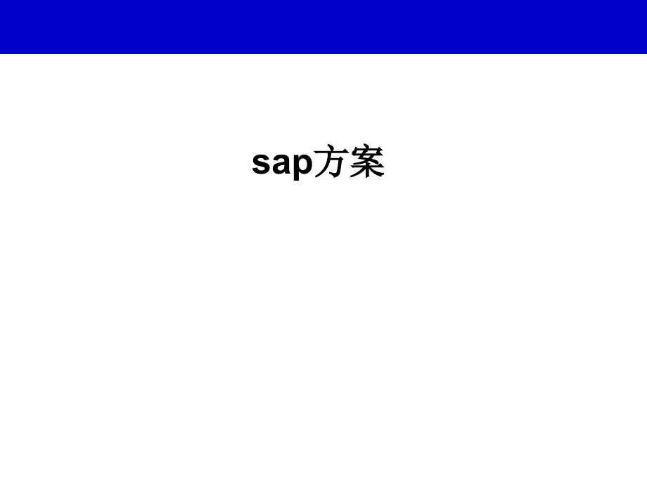 SAP介绍_第2页
