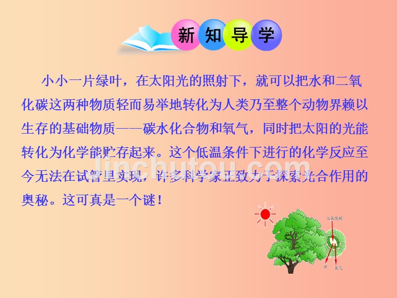 九年级化学上册 第一单元 步入化学殿堂 第二节 体验化学探究课件 （新版）鲁教版_第3页