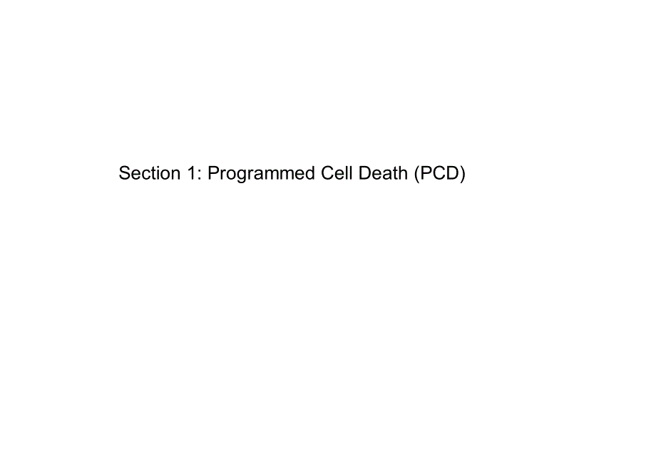 程序性细胞死亡与细胞衰老ppt_第2页