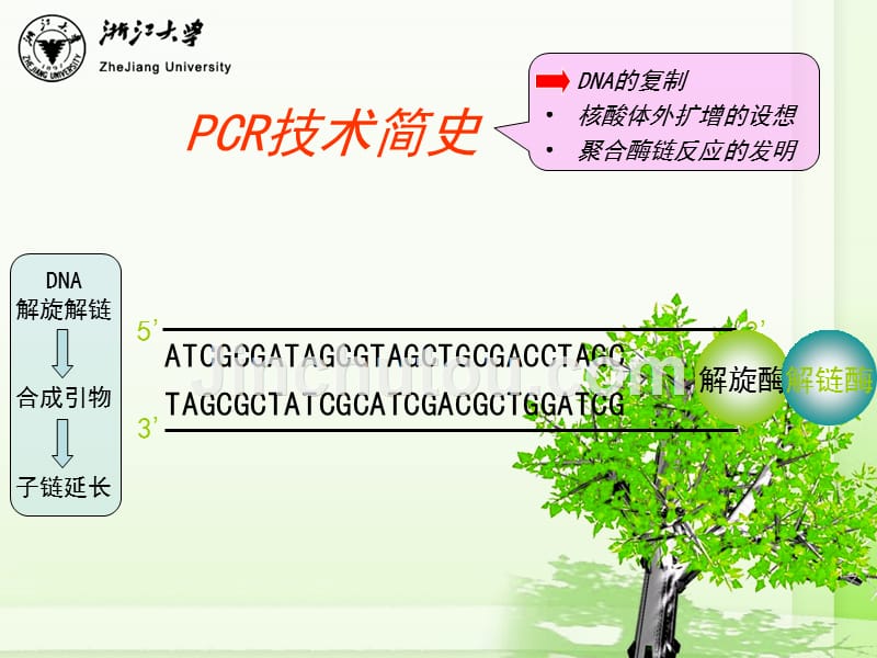 pcr技术的原理及应用_第2页