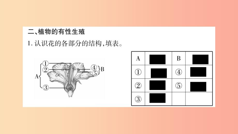 2019年八年级生物下册7.1.1植物的生殖课件 新人教版_第3页