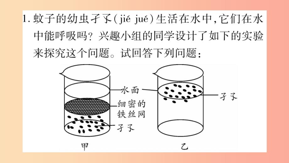 2019秋七年级生物上册实验专项训练习题课件（新版）北师大版_第2页