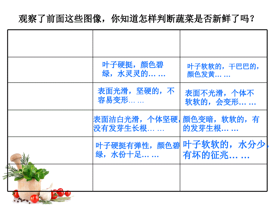 四年级上册综合实践活动课件－3.2蔬菜保鲜揭秘沪科黔科版_第4页