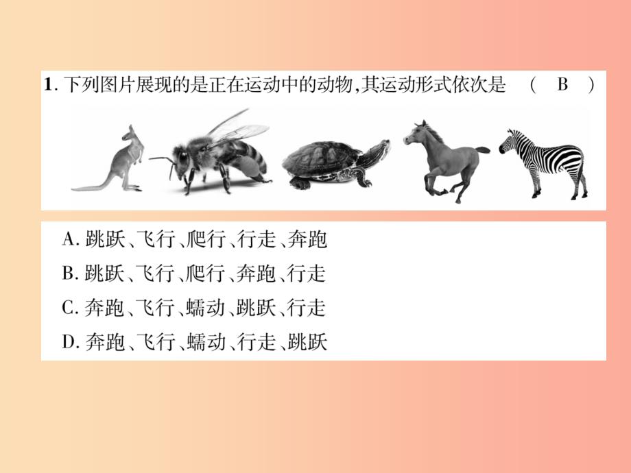 2019年八年级生物上册 第5单元 第2、3章达标测试题课件新人教版_第3页