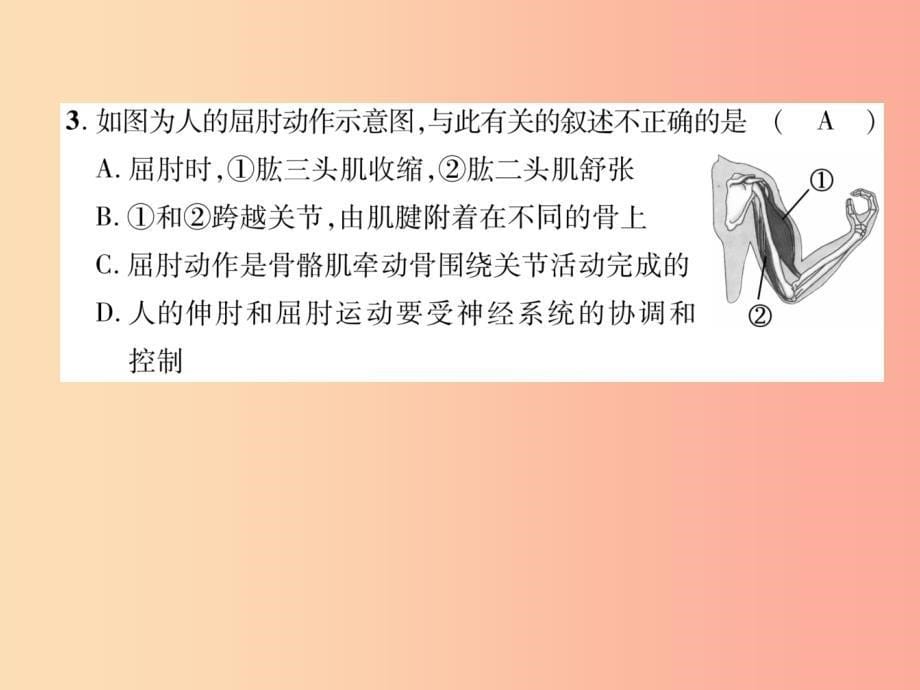 2019年八年级生物上册 第5单元 第2、3章达标测试题课件新人教版_第5页