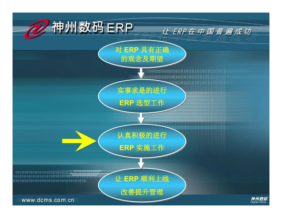 神州数码EFFECT实施方法介绍_第3页