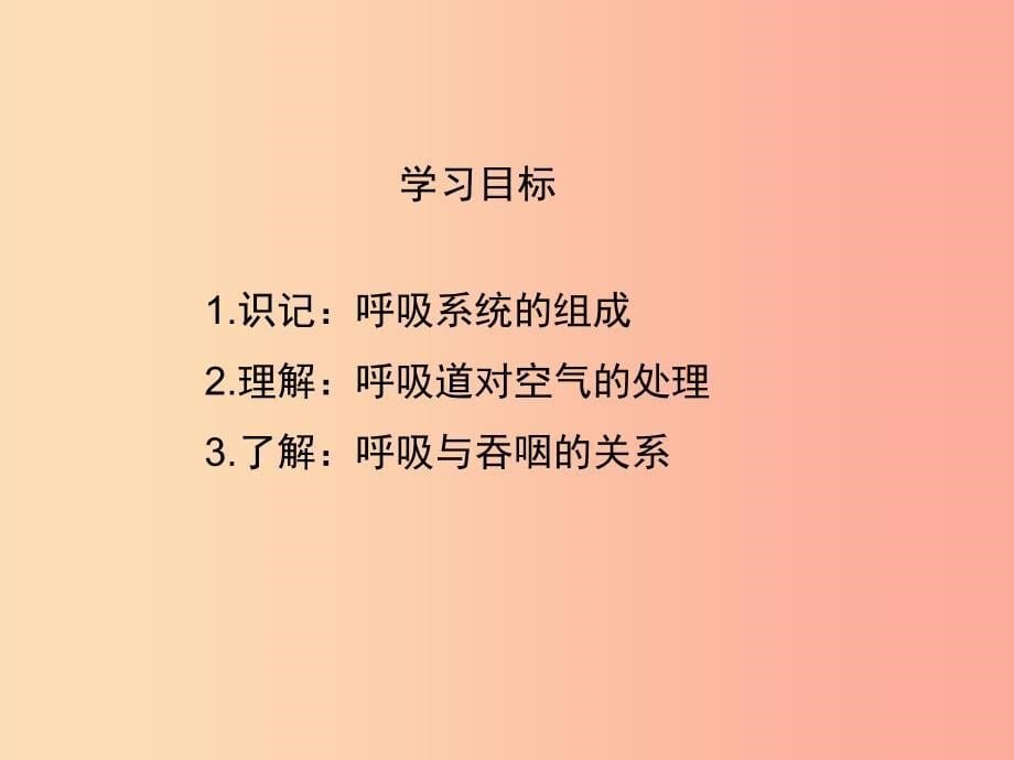 七年级生物下册4.3.1呼吸道对空气的处理演示课件 新人教版_第5页