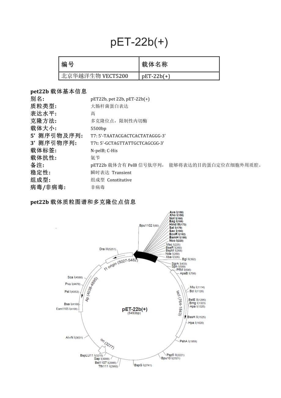 pet-22b(+)大肠杆菌表达载体说明_第1页