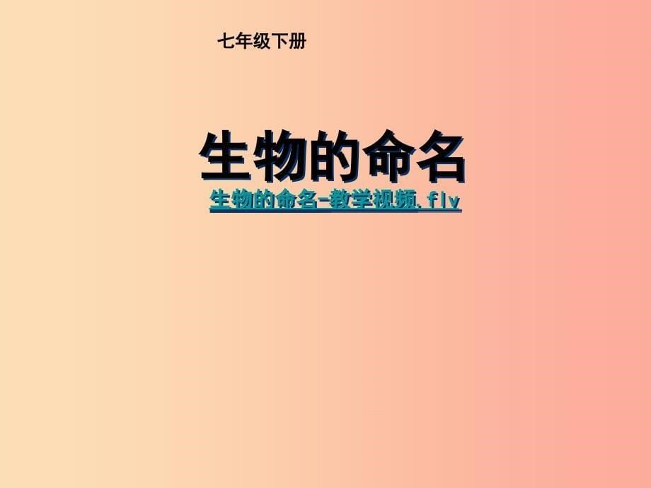 江苏省如皋市七年级生物下册 14.1 生物的命名课件（新版）苏科版_第5页