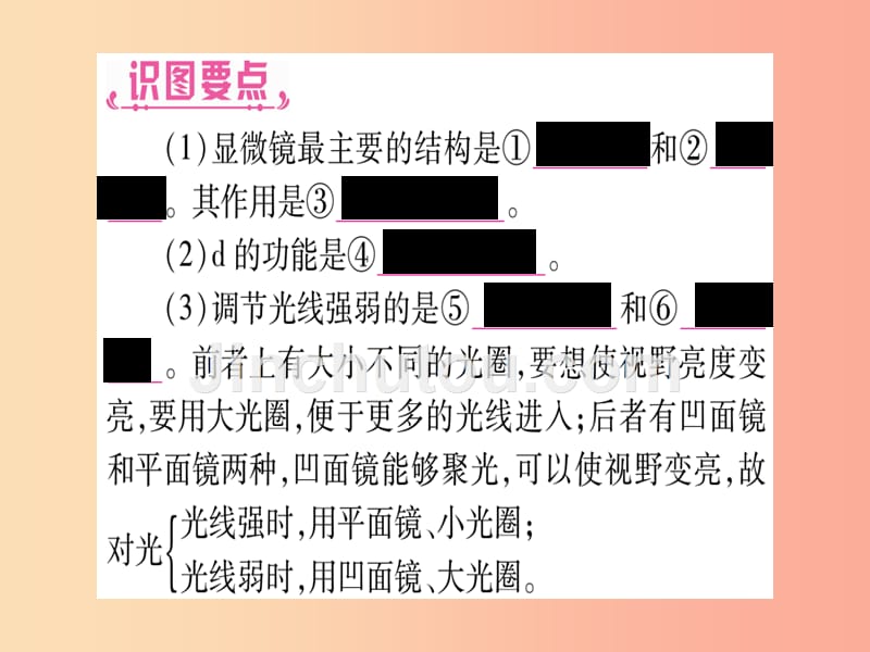 （玉林专版）2019年中考生物总复习 七上 第2单元 第1章 细胞是生命活动的基本单位课件_第4页