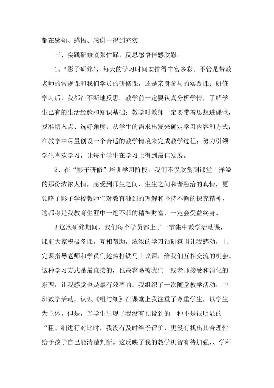 影子教师实践心得---高艺_第5页