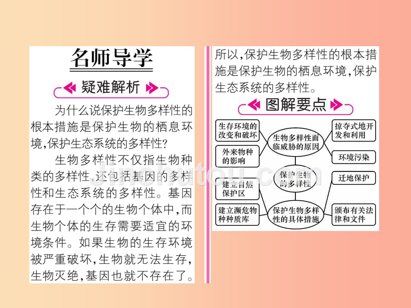 2019年八年级生物上册 第6单元 第3章保护生物的多样性练习课件新人教版_第2页