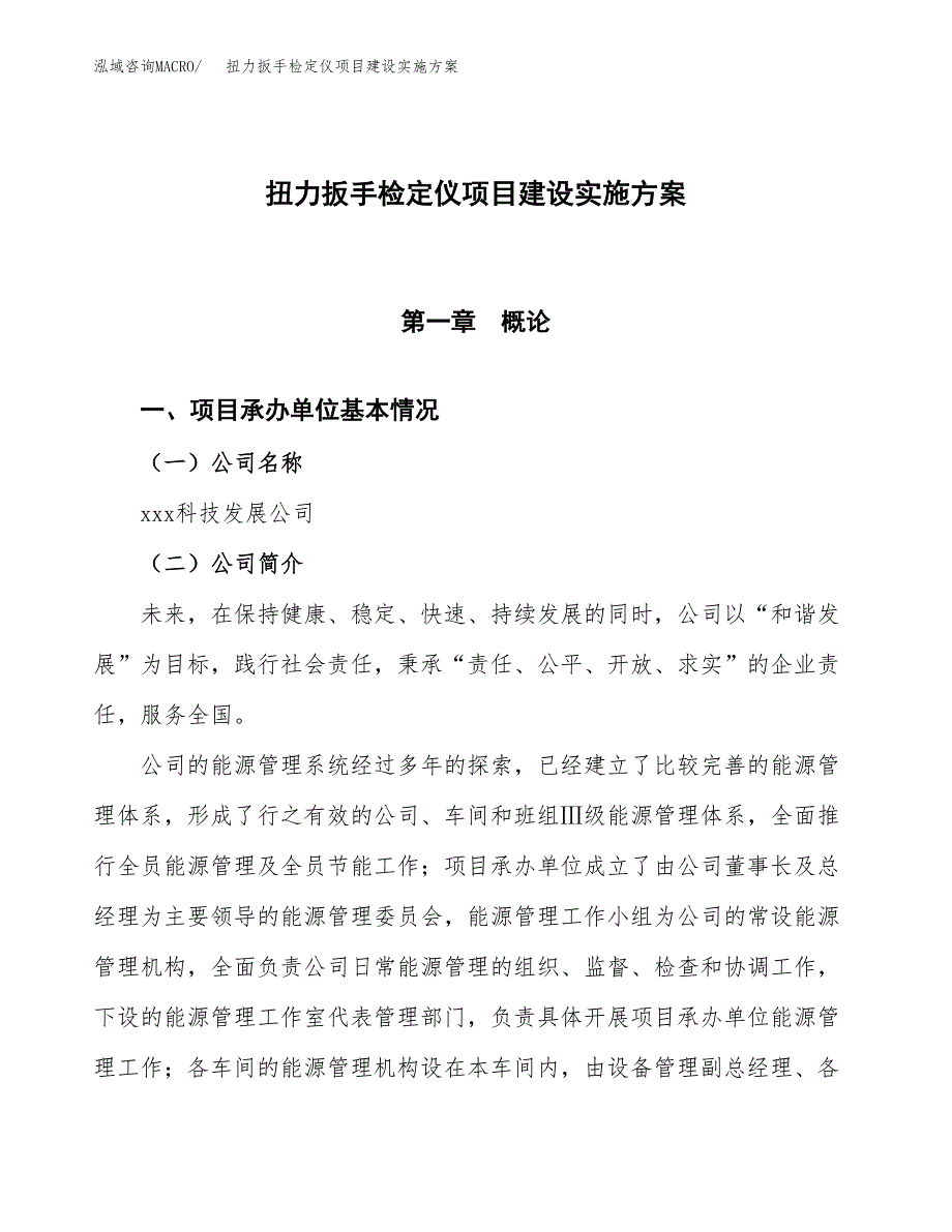 扭力扳手检定仪项目建设实施方案.docx_第1页