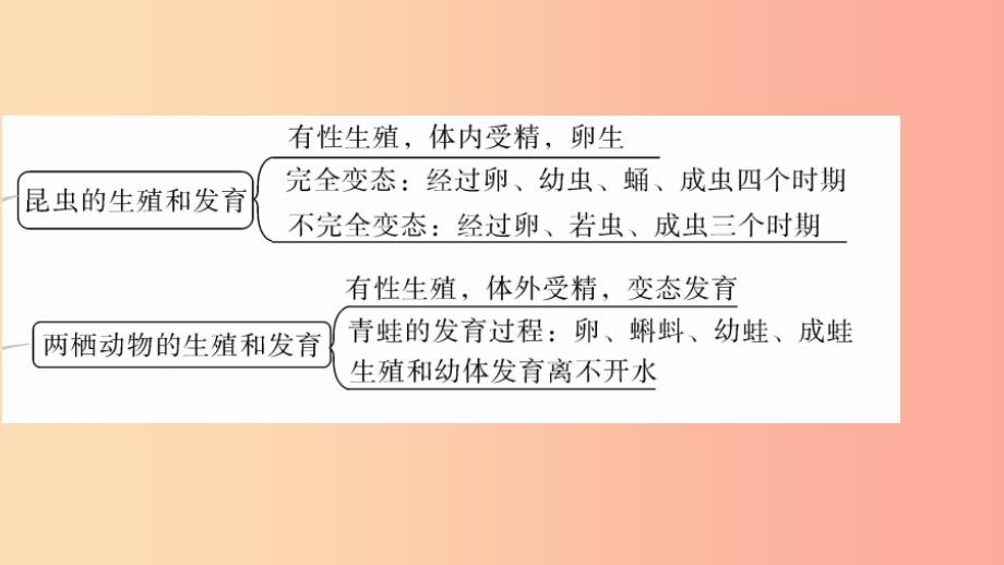 八年级生物上册第6单元第19章第19章生物的生殖和发育小结与复习习题课件（新版）北师大版_第4页