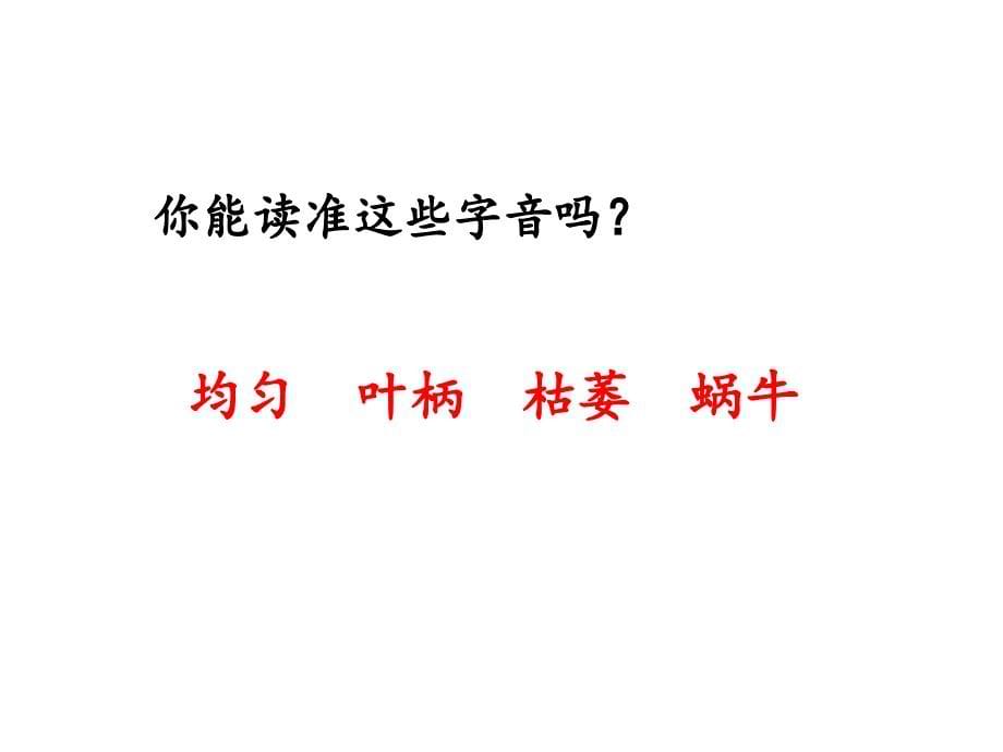 人教部编小学语文四年级上册 《爬山虎的脚》教学课件(第一课时)_第5页