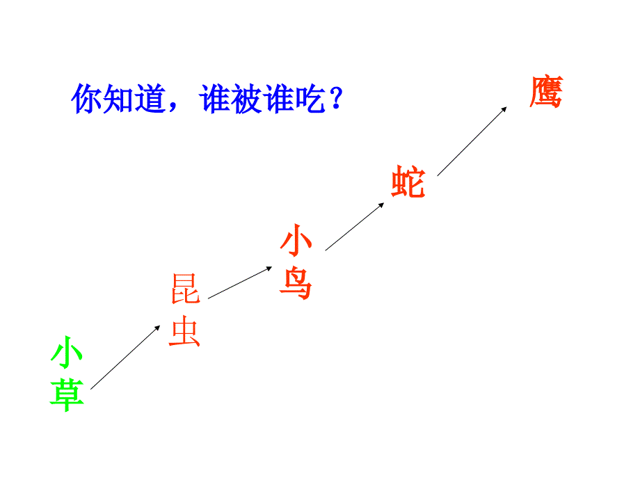 五年级上册科学课件-1.6 做一个生态瓶｜教科版 (共12张PPT)(1)_第2页