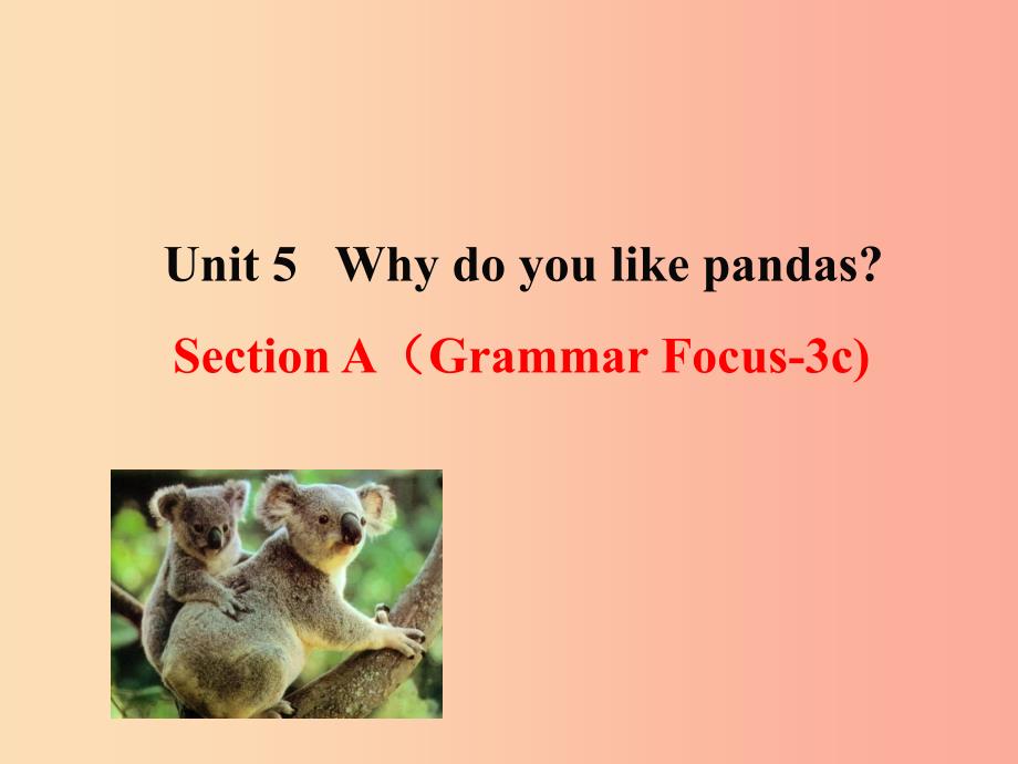 七年级英语下册 unit 5 why do you like pandas section a（grammer focus-3c）教学课件2 人教新目标版_第1页