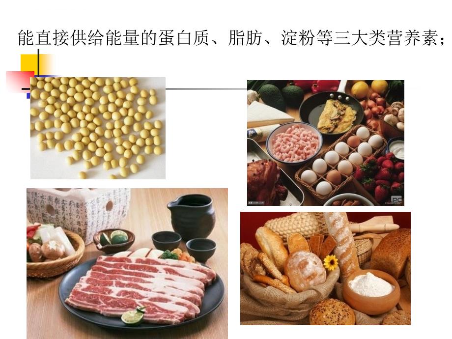 四年级上册科学课件－4.2 怎样搭配食物饮食与智力苏教版_第4页