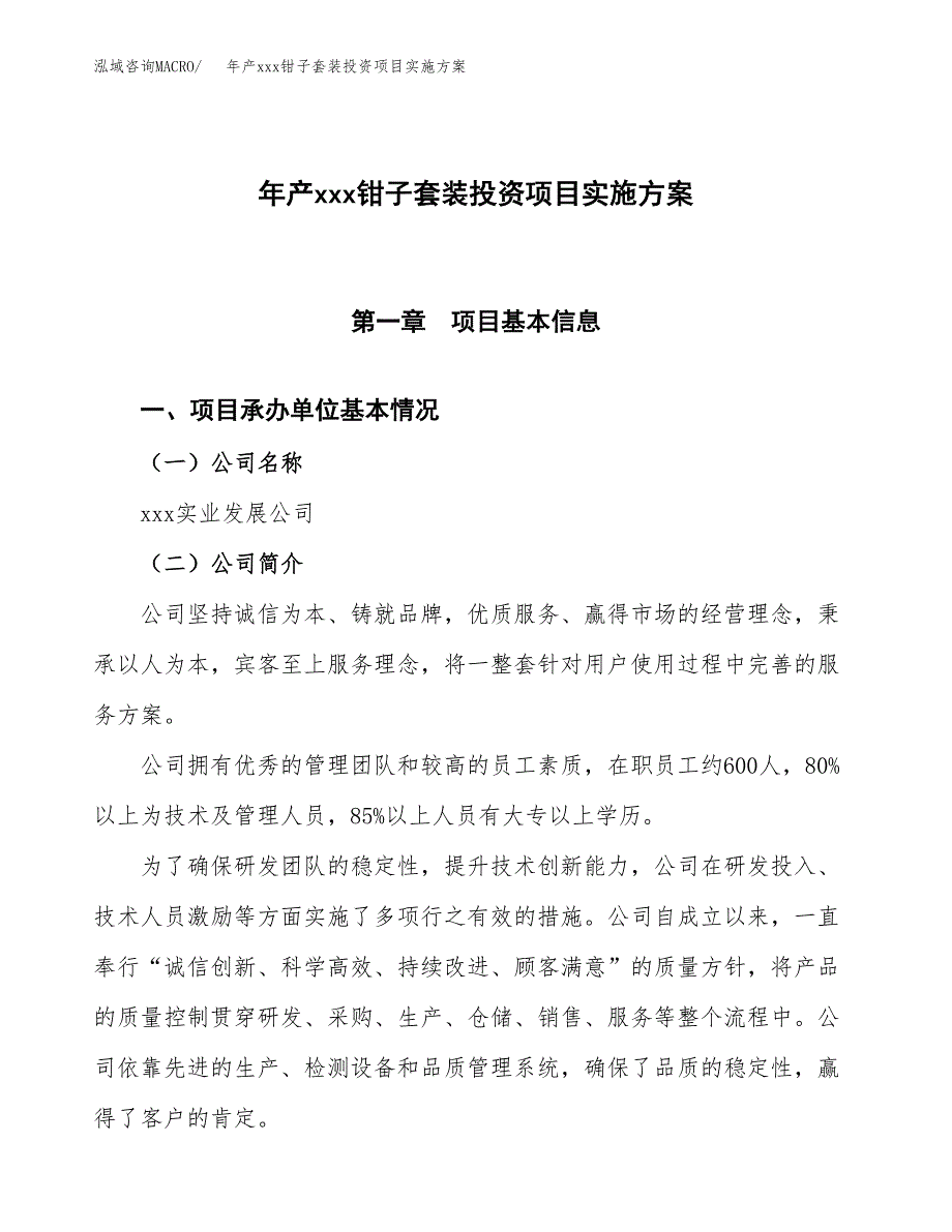 年产xxx钳子套装投资项目实施方案.docx_第1页