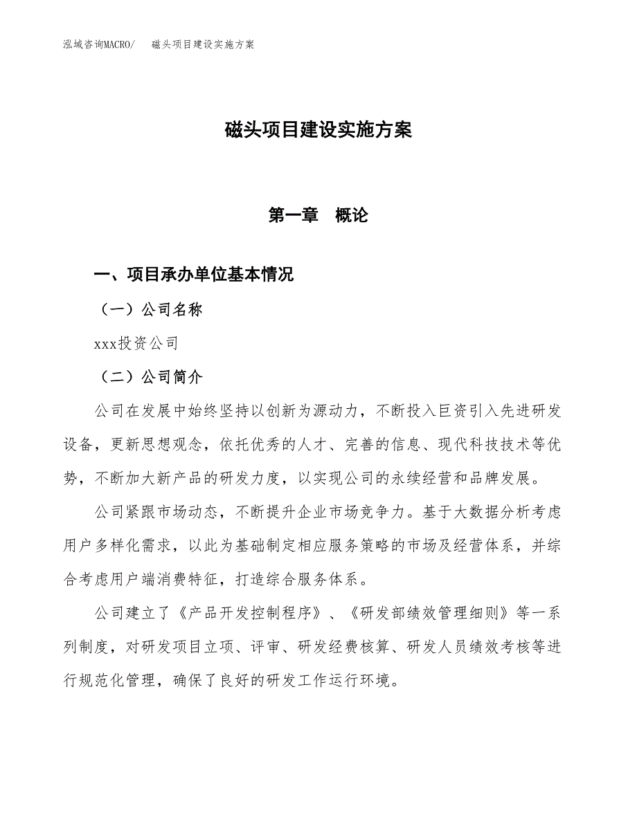 磁头项目建设实施方案.docx_第1页