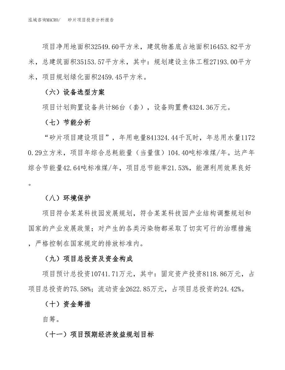 矽片项目投资分析报告（总投资11000万元）（49亩）_第5页