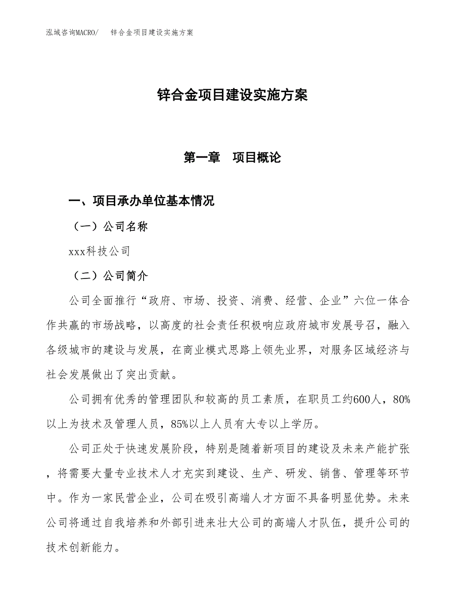 锌合金项目建设实施方案.docx_第1页