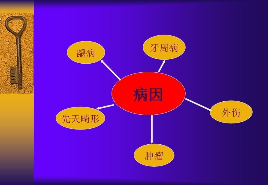 口腔修复学的临床内容_第5页