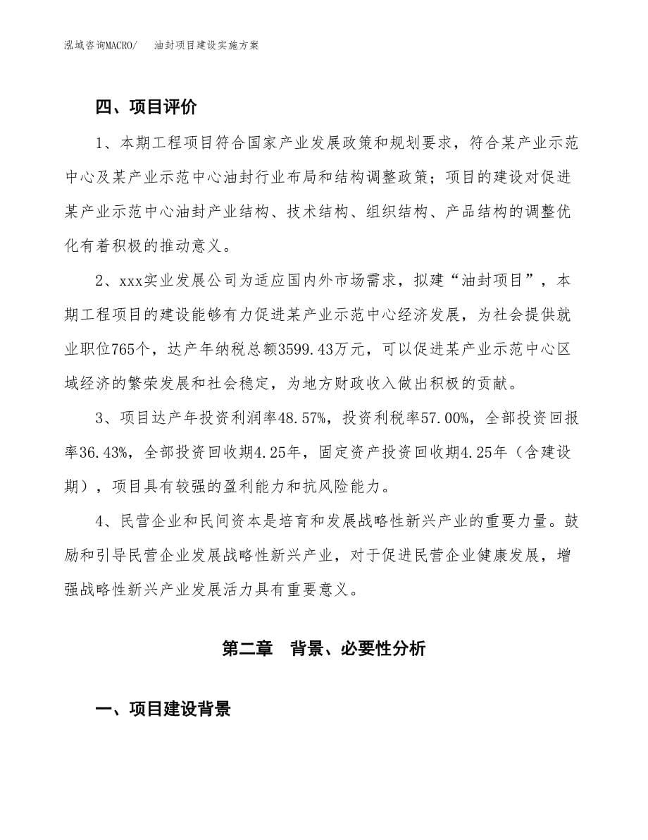 油封项目建设实施方案.docx_第5页