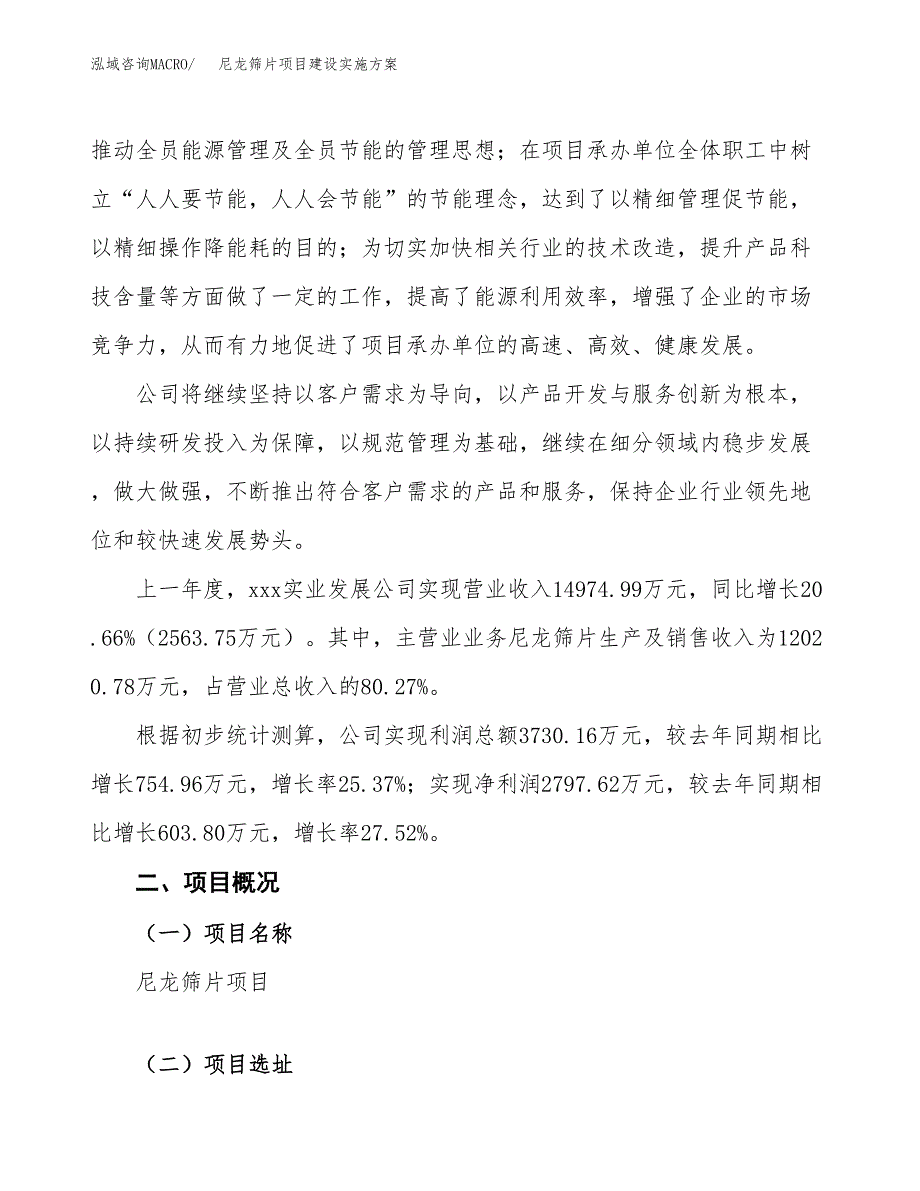 尼龙筛片项目建设实施方案.docx_第2页