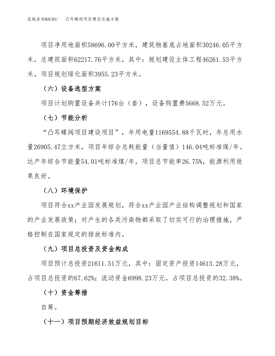 凸耳蝶阀项目建设实施方案.docx_第3页