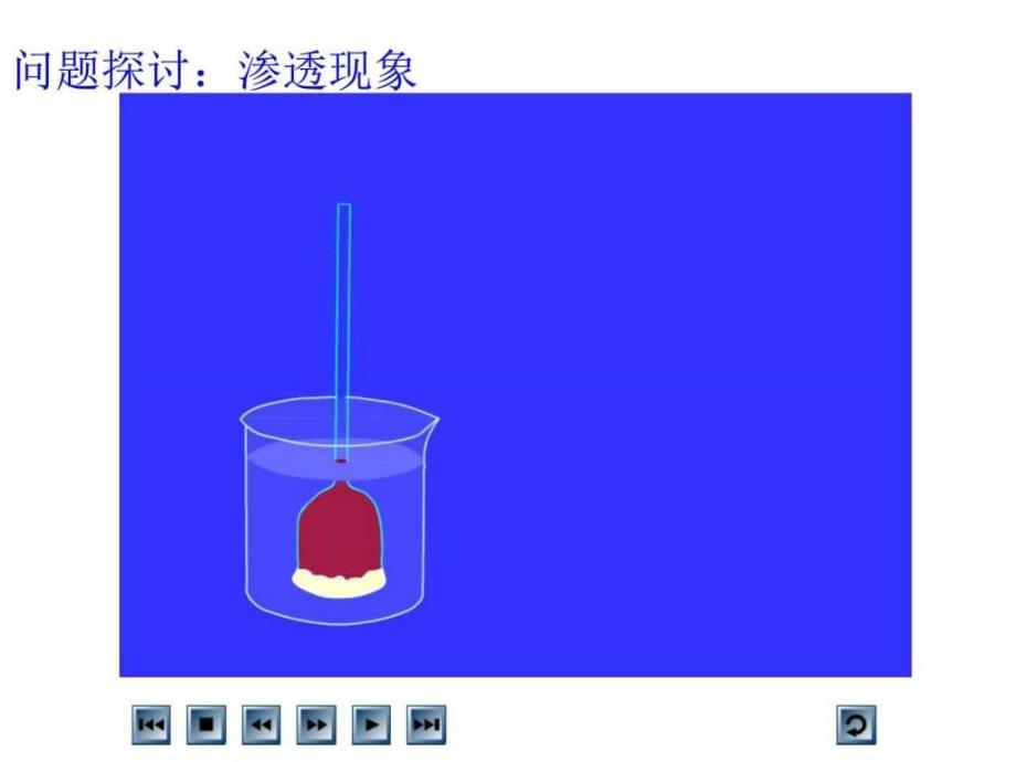 人必141《物质跨膜运输的实例》_第4页