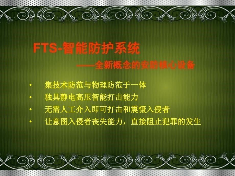 FTS智能防护系统_第5页