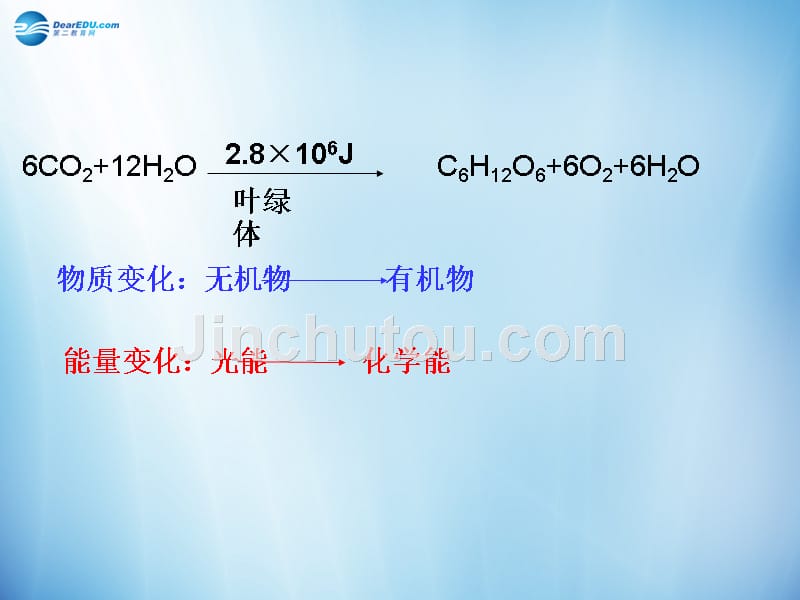 (浙科版)高中生物6.2生产量和生物量课件新人教版必修3.ppt_第2页