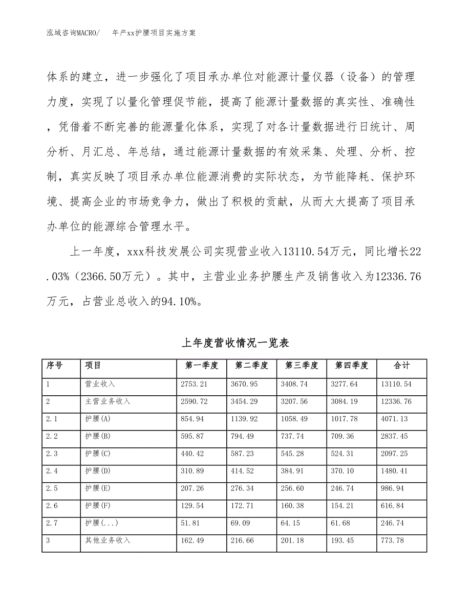 年产xx护腰项目实施方案模板.docx_第2页