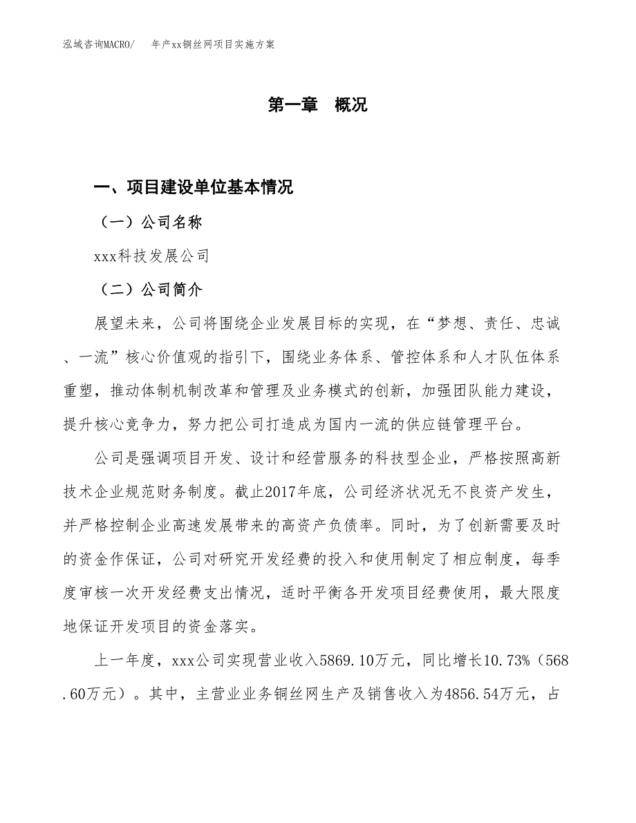 年产xx铜丝网项目实施方案模板.docx_第1页