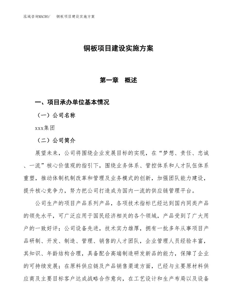 铜板项目建设实施方案.docx_第1页