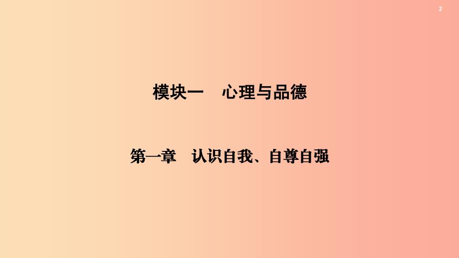 江西省2019届中考政治模块一心理与品德第一章认识自我自尊自强复习课件_第3页