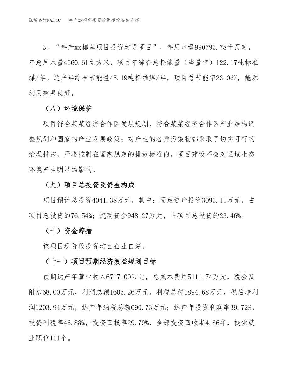 年产xx椰蓉项目投资建设实施方案.docx_第5页