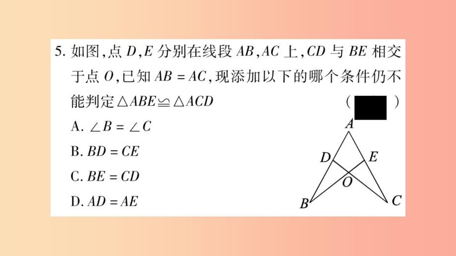 八年级数学上册 第2章 三角形 2.5 全等三角形 第6课时 全等三角形判定方法的综合应用习题课件 湘教版_第4页